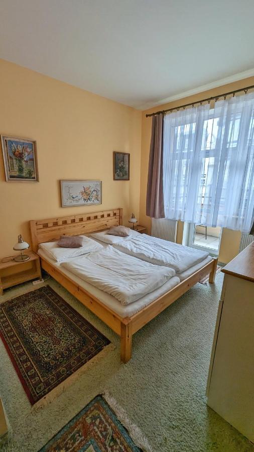 Kamil Apartments, Lux S, 131M2 Карлови Вари Екстериор снимка