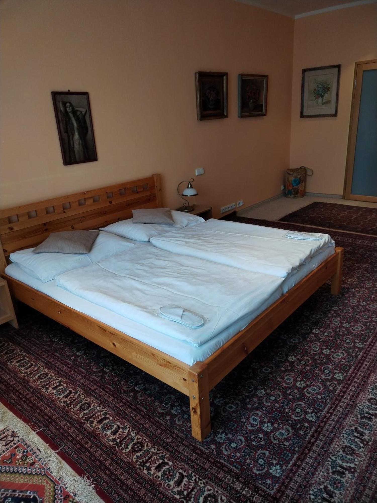 Kamil Apartments, Lux S, 131M2 Карлови Вари Екстериор снимка